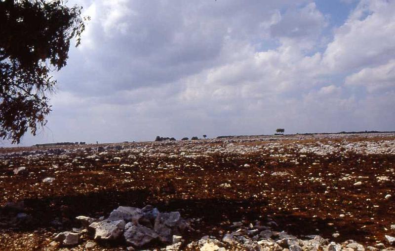 83-Porto Badisco,26 agosto 1988.jpg